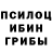Псилоцибиновые грибы MAGIC MUSHROOMS tohaa1