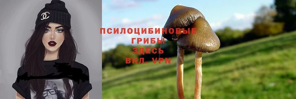 герыч Няндома