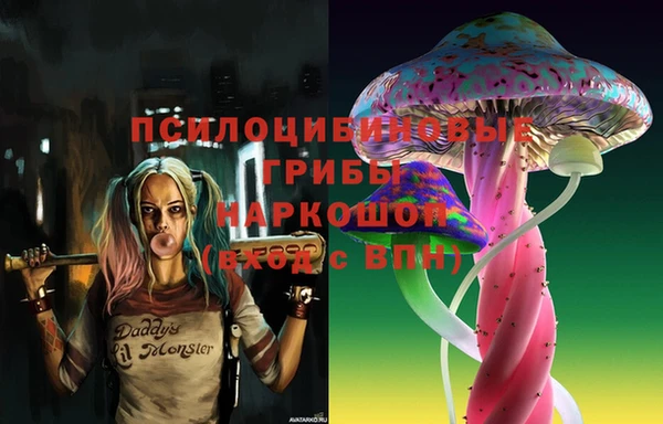круглые Нягань